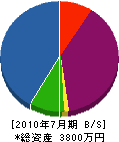 杉村電気商会 貸借対照表 2010年7月期