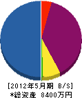 篠田鉄工 貸借対照表 2012年5月期