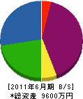 渡辺管工 貸借対照表 2011年6月期