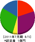 櫻井建設 貸借対照表 2011年7月期