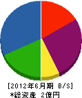斎藤商事 貸借対照表 2012年6月期
