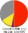 中野電気 損益計算書 2008年10月期