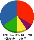 島田組 貸借対照表 2009年12月期