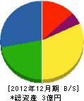 紫光産業 貸借対照表 2012年12月期