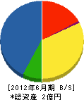 栄進電工 貸借対照表 2012年6月期