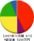 乙川建設 貸借対照表 2007年12月期