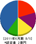 小泉建設 貸借対照表 2011年6月期