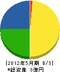 佐藤総合設備 貸借対照表 2012年5月期