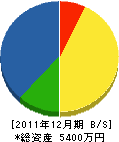 丑山住設 貸借対照表 2011年12月期