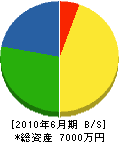 長島管工 貸借対照表 2010年6月期