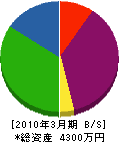 平澤建設 貸借対照表 2010年3月期