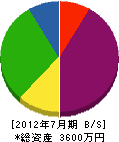 田坂建設 貸借対照表 2012年7月期