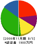大和田塗装店 貸借対照表 2008年11月期