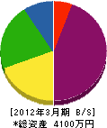 大江電機 貸借対照表 2012年3月期
