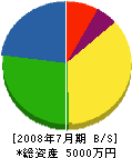 若井総業 貸借対照表 2008年7月期
