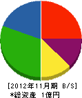 近藤テクア 貸借対照表 2012年11月期