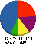 北海道ライン興業 貸借対照表 2010年6月期