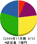 北川建設 貸借対照表 2009年11月期