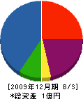 飯塚建材土木 貸借対照表 2009年12月期
