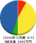 坪井組 貸借対照表 2009年12月期