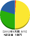 大島組 貸借対照表 2012年6月期