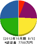 池田水道設備工業 貸借対照表 2012年10月期