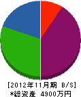 旭通信 貸借対照表 2012年11月期