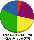 新岡組 貸借対照表 2011年12月期