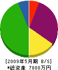 雄昭建設 貸借対照表 2009年5月期