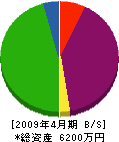 松本建設 貸借対照表 2009年4月期