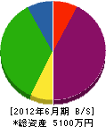 島田工務店 貸借対照表 2012年6月期