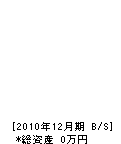 逢阪左官タイル店 貸借対照表 2010年12月期