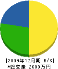 高田造園 貸借対照表 2009年12月期