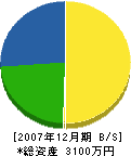 吉井土木 貸借対照表 2007年12月期