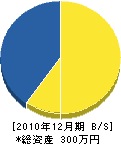 円山庭園 貸借対照表 2010年12月期