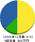 田中機工 貸借対照表 2009年12月期