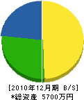 生田建設 貸借対照表 2010年12月期