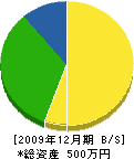 斉藤電機商会 貸借対照表 2009年12月期