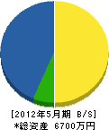 生田工務所 貸借対照表 2012年5月期