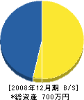 駒井組 貸借対照表 2008年12月期