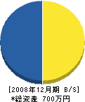 片岡工業 貸借対照表 2008年12月期