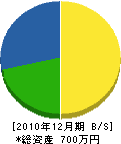 川崎園芸 貸借対照表 2010年12月期