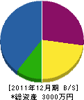 伊藤ボーリング工業 貸借対照表 2011年12月期