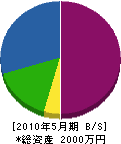 池田住宅 貸借対照表 2010年5月期