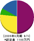 豊平電工建設 貸借対照表 2009年6月期