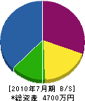 松元組 貸借対照表 2010年7月期