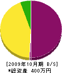 阿漕電気商会 貸借対照表 2009年10月期