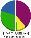 苅田電気商会 貸借対照表 2009年12月期