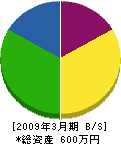 相沢塗装店 貸借対照表 2009年3月期