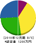 オクヤマ塗装 貸借対照表 2010年12月期